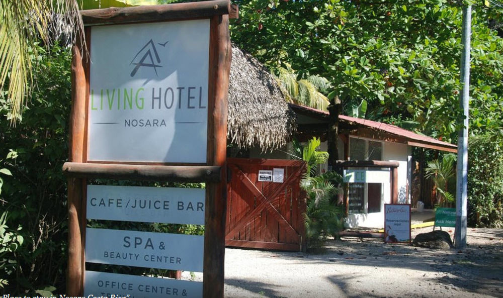 Living Hotel نوسارا المظهر الخارجي الصورة